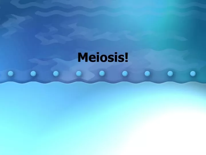 meiosis