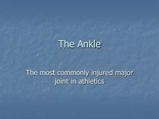 The Ankle