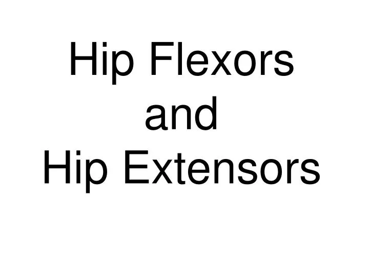 hip flexors and hip extensors