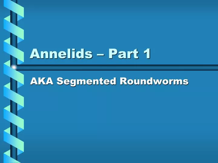 annelids part 1