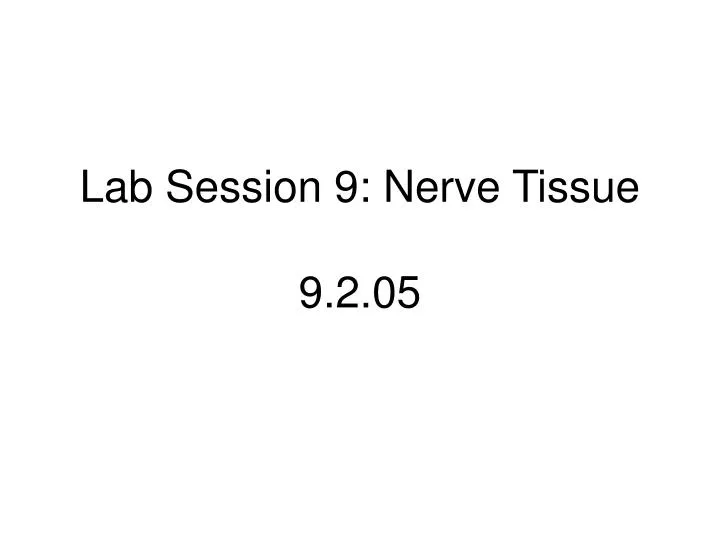 lab session 9 nerve tissue 9 2 05
