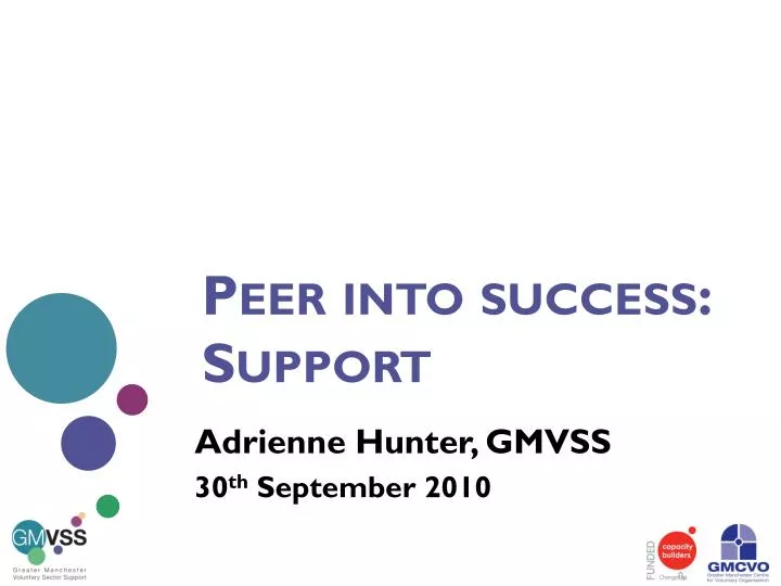 peer into success support