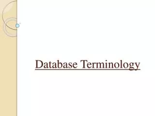 Database Terminology