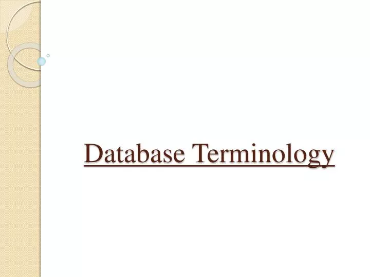 database terminology
