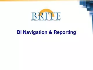 BI Navigation &amp; Reporting