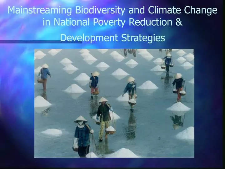 mainstreaming biodiversity and climate change in national poverty reduction development strategies