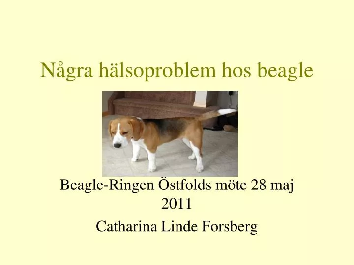 n gra h lsoproblem hos beagle