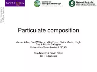 Particulate composition
