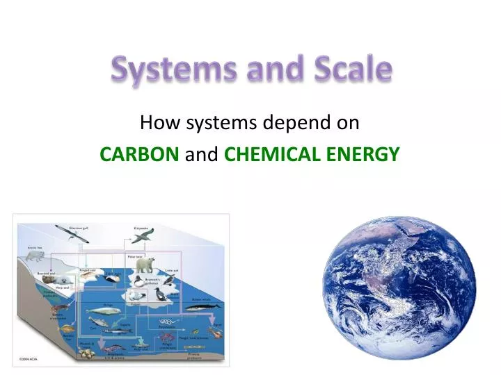 how systems depend on carbon and chemical energy