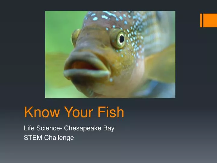 know your fish