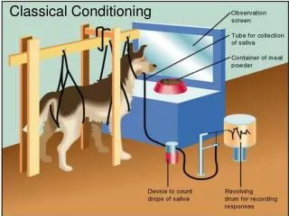 Classical Conditioning