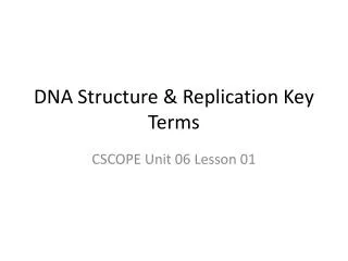 dna structure replication key terms