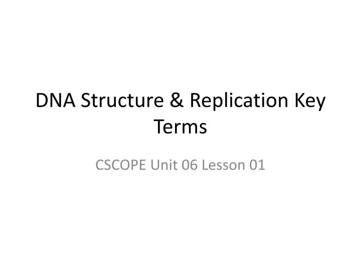 dna structure replication key terms