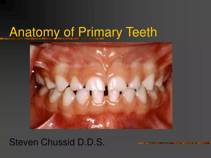 anatomy of primary teeth