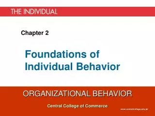 foundations of individual behavior