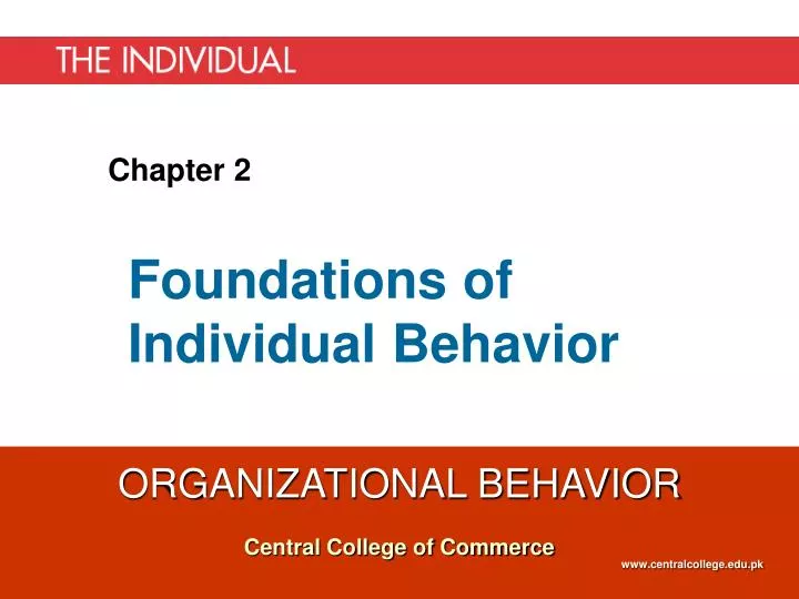 foundations of individual behavior