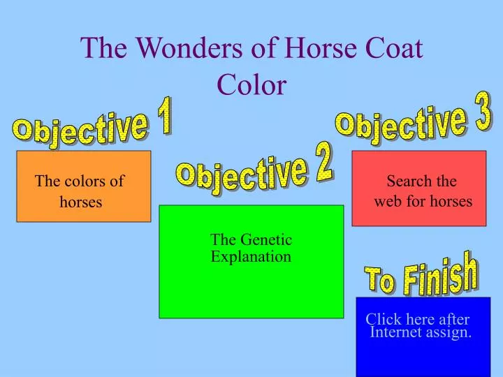 the wonders of horse coat color