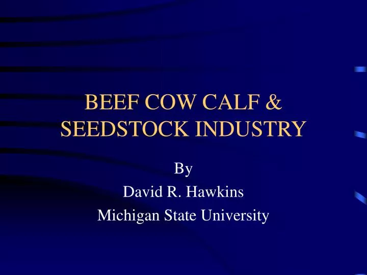 beef cow calf seedstock industry