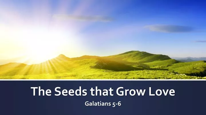the seeds that grow love