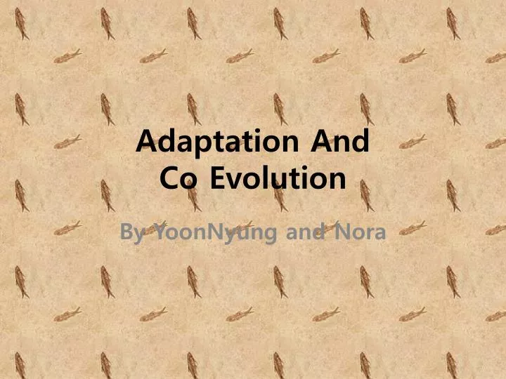 adaptation and co evolution