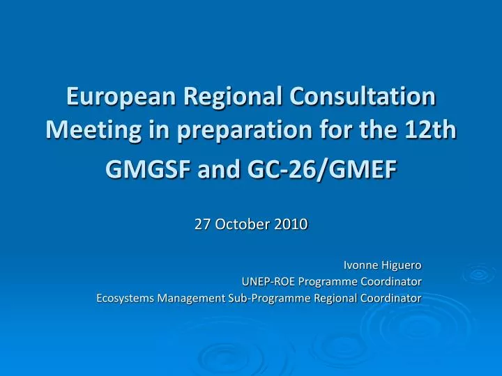 european regional consultation meeting in preparation for the 12th gmgsf and gc 26 gmef