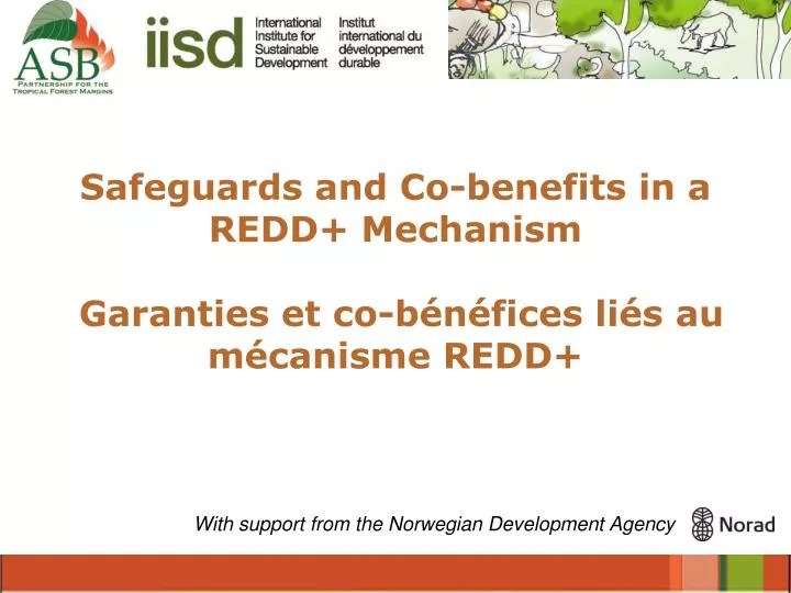 safeguards and co benefits in a redd mechanism garanties et co b n fices li s au m canisme redd
