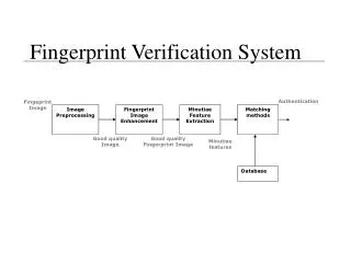 Fingerprint Verification System