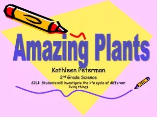 Kathleen Peterman 2 nd Grade Science