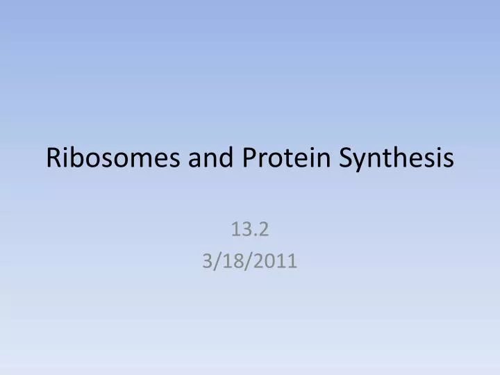 ribosomes and protein synthesis