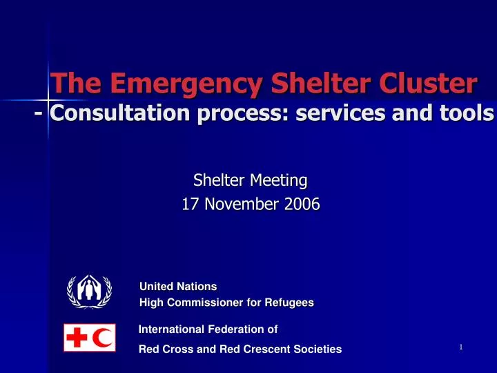 the emergency shelter cluster consultation process services and tools