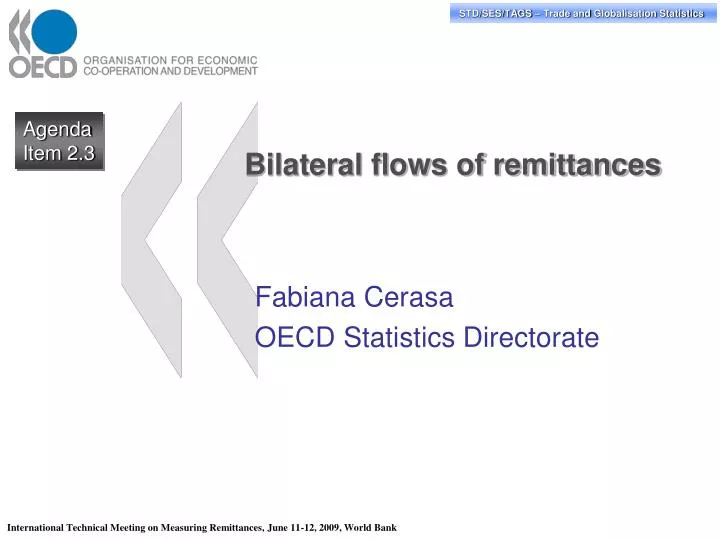 bilateral flows of remittances