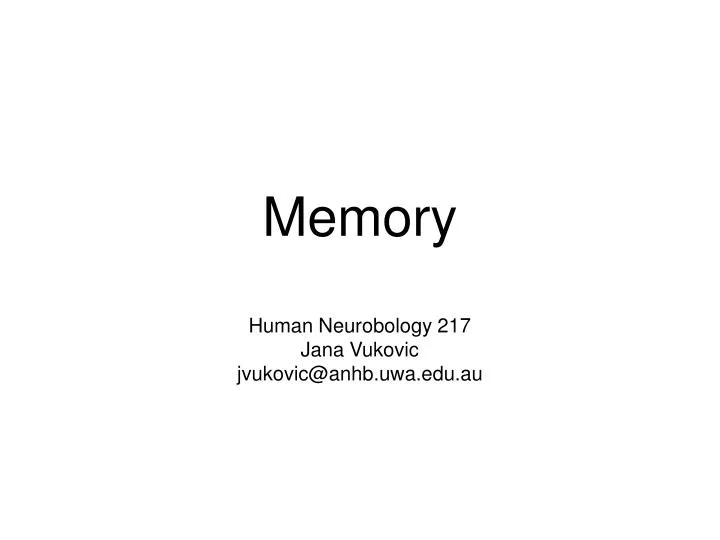 memory human neurobology 217 jana vukovic jvukovic@anhb uwa edu au