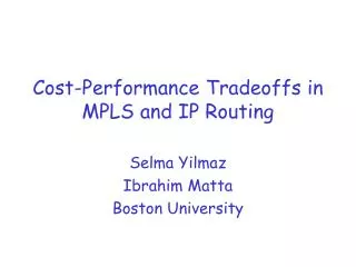 Cost-Performance Tradeoffs in MPLS and IP Routing