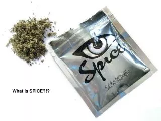 What is SPICE?!?
