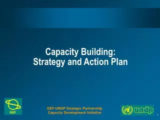 Capacity Building: Strategy and Action Plan