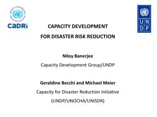 CAPACITY DEVELOPMENT FOR DISASTER RISK REDUCTION Niloy Banerjee Capacity Development Group/UNDP