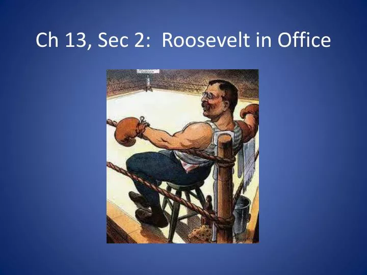 ch 13 sec 2 roosevelt in office