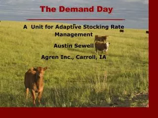The Demand Day