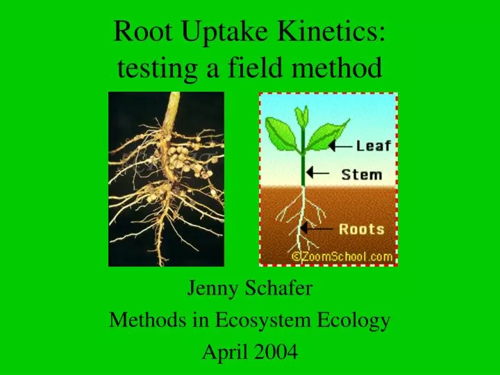 root uptake kinetics testing a field method