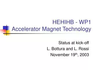 HEHIHB - WP1 Accelerator Magnet Technology