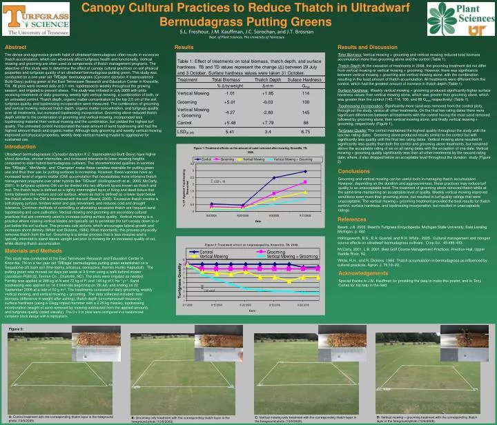 canopy cultural practices to reduce thatch in ultradwarf bermudagrass putting greens