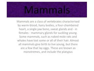 Mammals