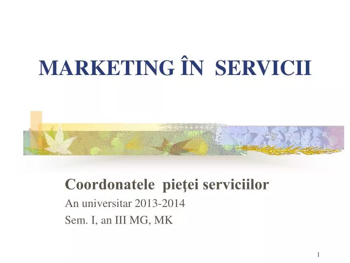 marketing n servicii