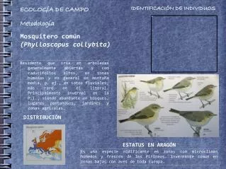 metodolog a