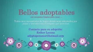 bellos adoptables con corazones limpios para amar