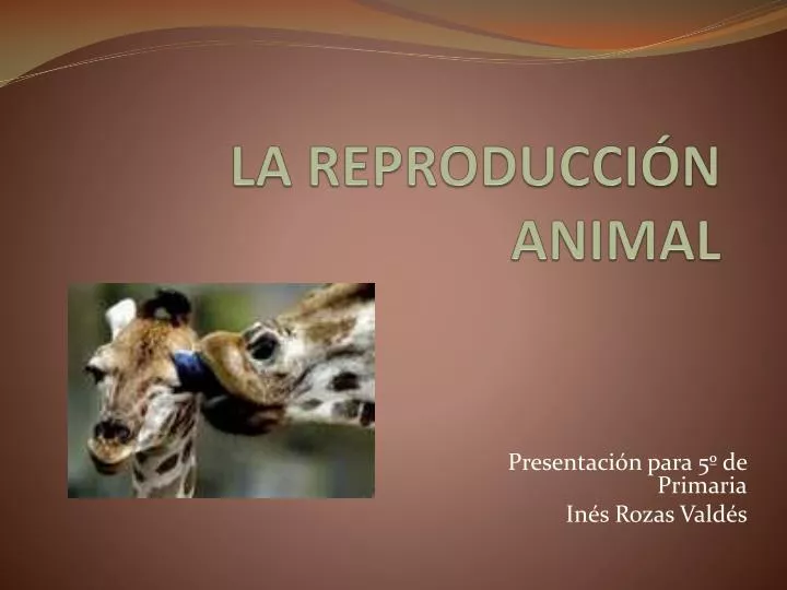 la reproducci n animal