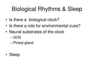 Biological Rhythms &amp; Sleep