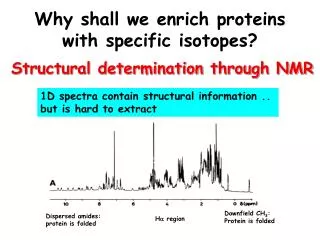 Why shall we enrich proteins with specific isotopes?