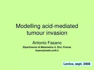 Modelling acid-mediated tumour invasion