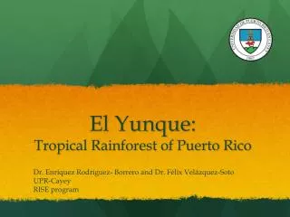 El Yunque : Tropical Rainforest of Puerto Rico